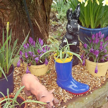 The Boot